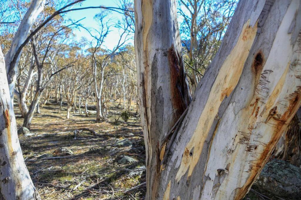 Big Yard Escapes - Two Off-Grid Tiny Houses On The Mowamba River Jindabyne Exterior photo